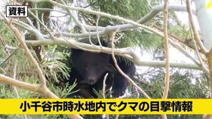 【クマ目撃情報】新潟・小千谷市の商業施設敷地内でクマ目撃　山林に立ち去る