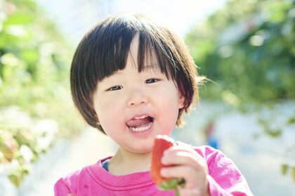 【2026年春休みお出かけ調査】テーマパーク・動物園・果物狩りが人気！お花見は「近所で気軽に」派が多数／いこーよ総研ユーザーアンケート
