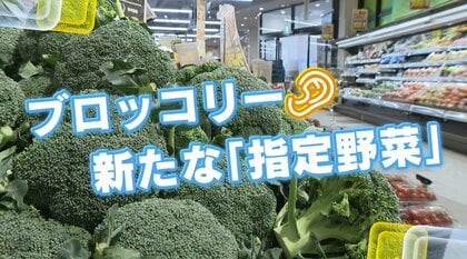 ブロッコリーが「指定野菜」に追加　需要増が生む期待と広島の課題