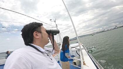 清水港にイルカがいるか?! 調査に行ったら赤ちゃんまで誕生していた【静岡発】