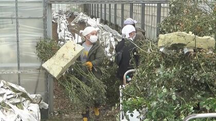 被害額は数千万円で廃業もよぎる…記録的豪雨で浸水被害受けたバラ農家　「今は本当に前向きに」広がる支援の輪【愛知発】