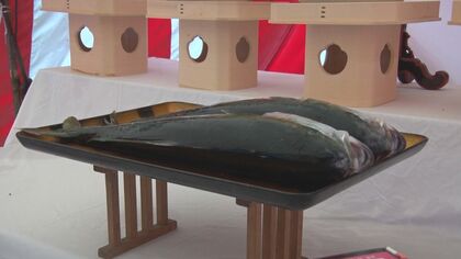 新潟・佐渡の海に異変!? 主役不在の“寒ブリ大漁まつり” 異例の不漁続く…祭壇には代役の“イナダ”