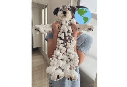 大はしゃぎで雪山に飛び込んだ犬が“雪玉だらけ”で爆笑…どうしてこんな