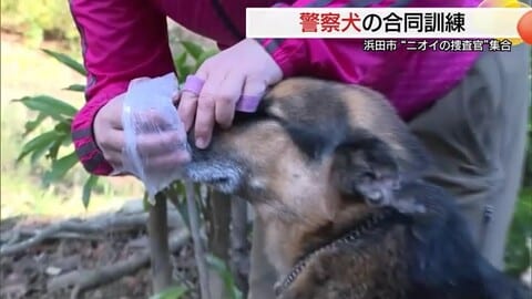 犯罪捜査や人命救助に鋭い“嗅覚”発揮！警察犬と嘱託警察犬の合同訓練　認知症高齢者捜索などに貢献