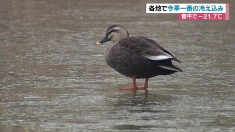 「肌が痛いぐらい冷たい」長野県内の9地点で今シーズン1番の冷え込みに　菅平－21.7℃、開田高原－14.5℃、白馬－13.4℃