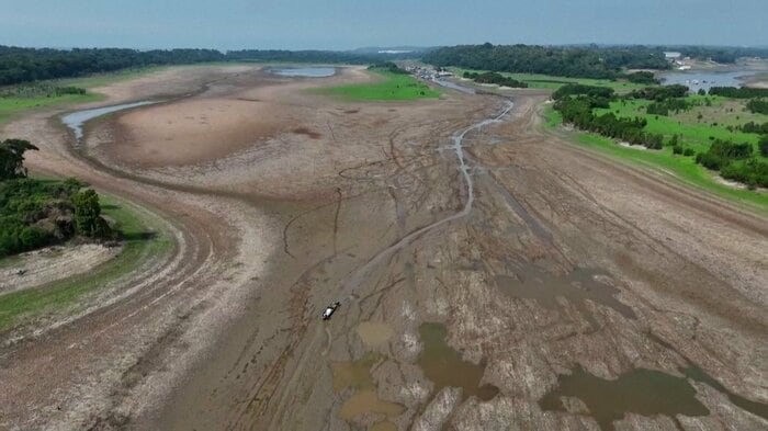 干ばつに襲われるアマゾン川(南米ブラジル)