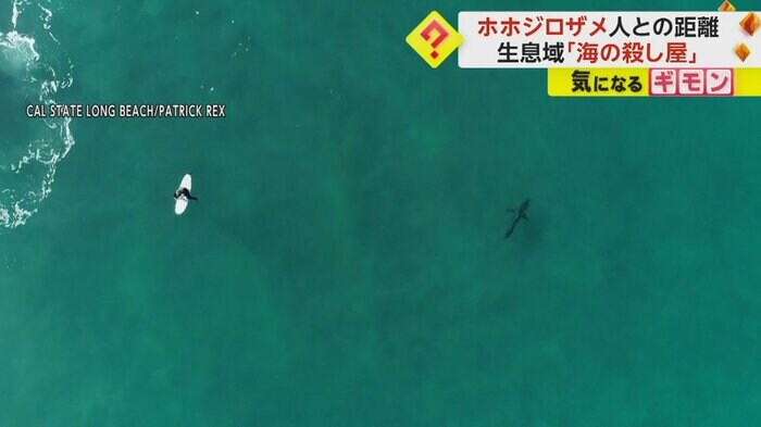 サーフボードの上で休む人の近くを魚の影が泳いでいる