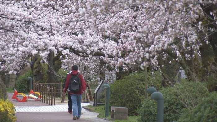 富山市・松川べり（31日）