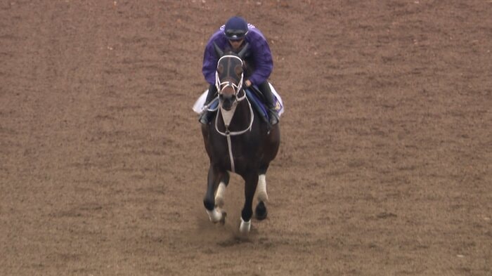 最終追い切りを行うダブルハートボンド