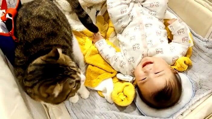 笑顔を見せる赤ちゃん
