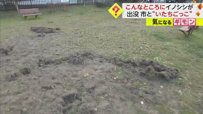 公園には複数箇所に穴が