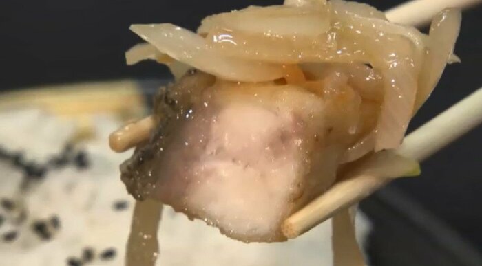 「龍虎ハタ」