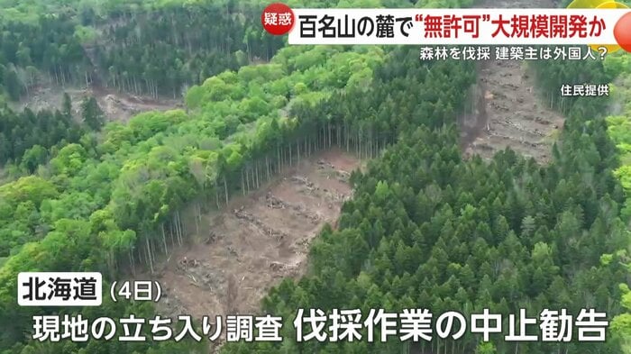 北海道は立ち入り検査を行い伐採作業の中止を勧告した