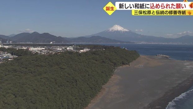 富士山と三保松原