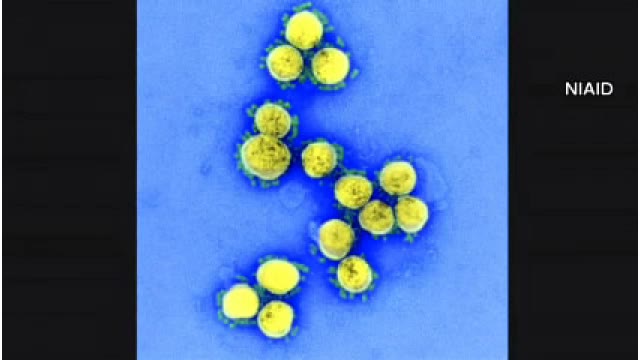 札幌市新たに3人確認…いずれも