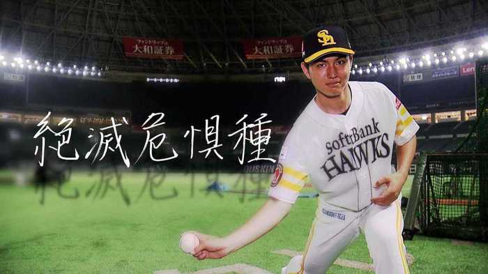 「もっともっと強いまっすぐを」 “球界の絶滅危惧種”高橋礼が東京五輪メダルへと導く