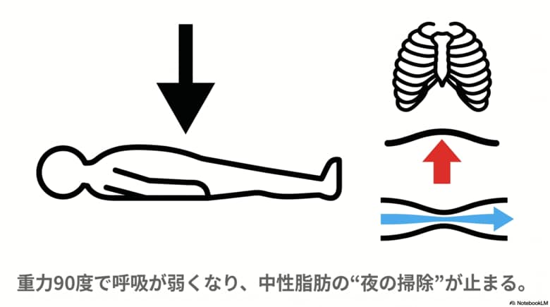 医学が語らない。中性脂肪が減らない理由。