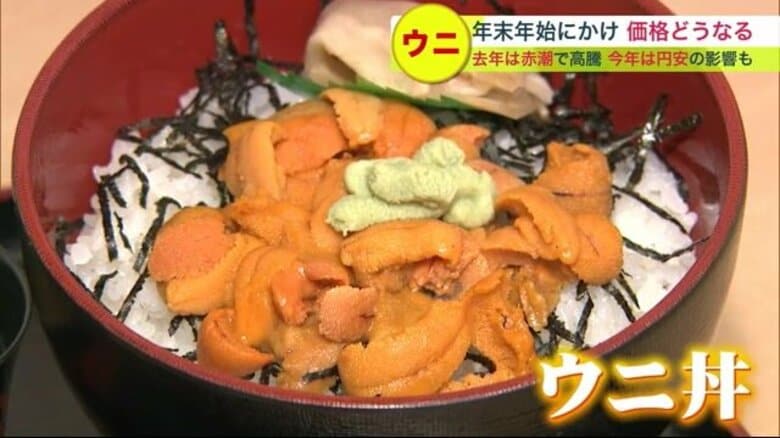 年末年始「ウニ」が高騰…北海道産1折“2万円”  北方四島産も仕入れ値倍に【北海道発】｜FNNプライムオンライン