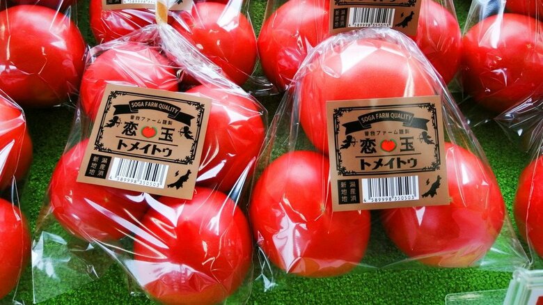 商品名が「トメイトゥ」のトマト!?  英語の授業を思い出すネーミングが話題…名付け親に聞いた｜FNNプライムオンライン