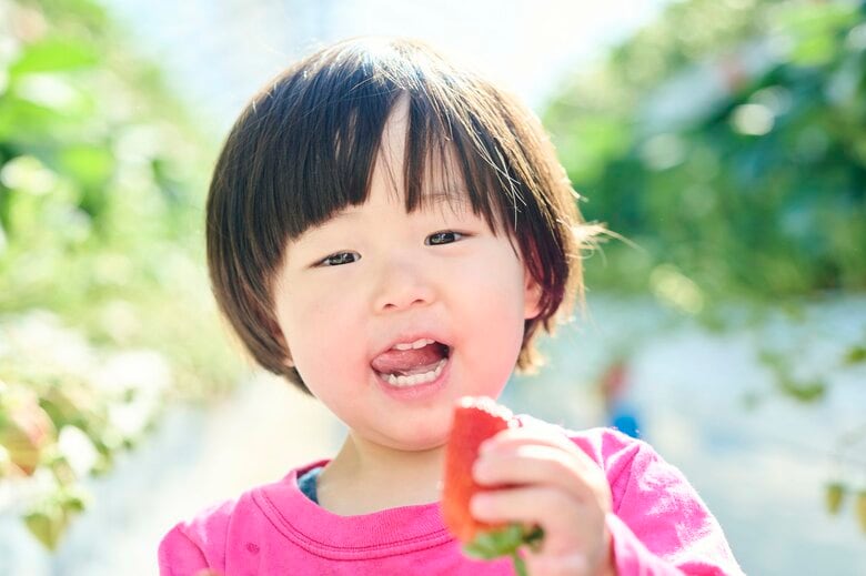 【2026年春休みお出かけ調査】テーマパーク・動物園・果物狩りが人気！お花見は「近所で気軽に」派が多数／いこーよ総研ユーザーアンケート