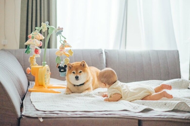 一緒に寝たりしてくれる