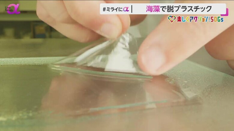 粉末状の海藻から作られた薄い膜