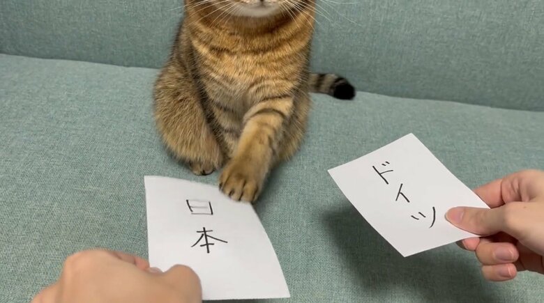 提供:みにら日記-MiniraDiary-さん