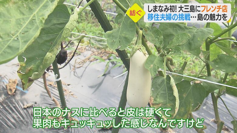 見慣れない真っ白なナス