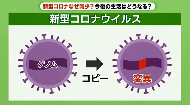 ウイルスが増殖する際、ゲノムに変異が起きる
