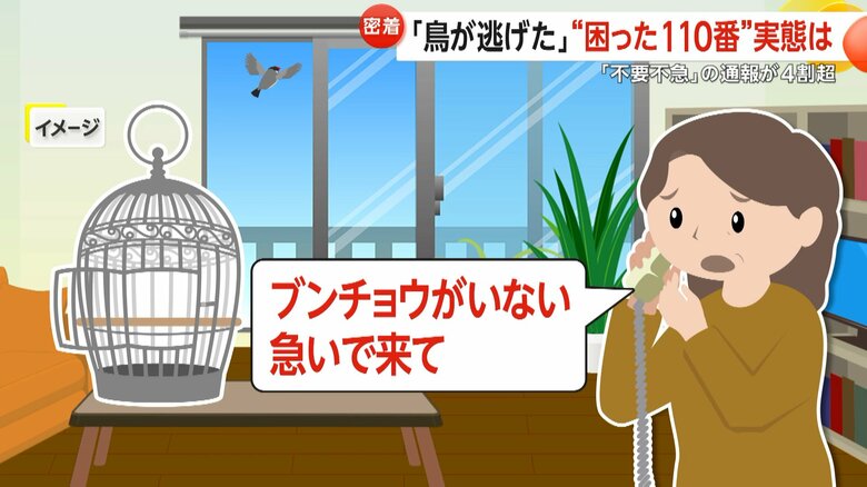 飼っていた文鳥が逃げ出し、通報してきた女性