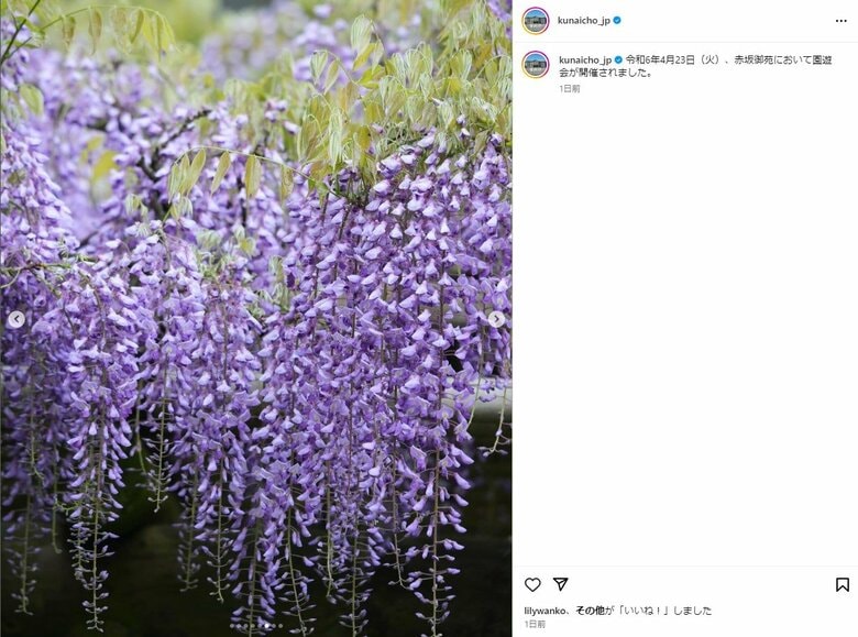見頃を迎えていた赤坂御苑の藤の花　宮内庁インスタグラムより