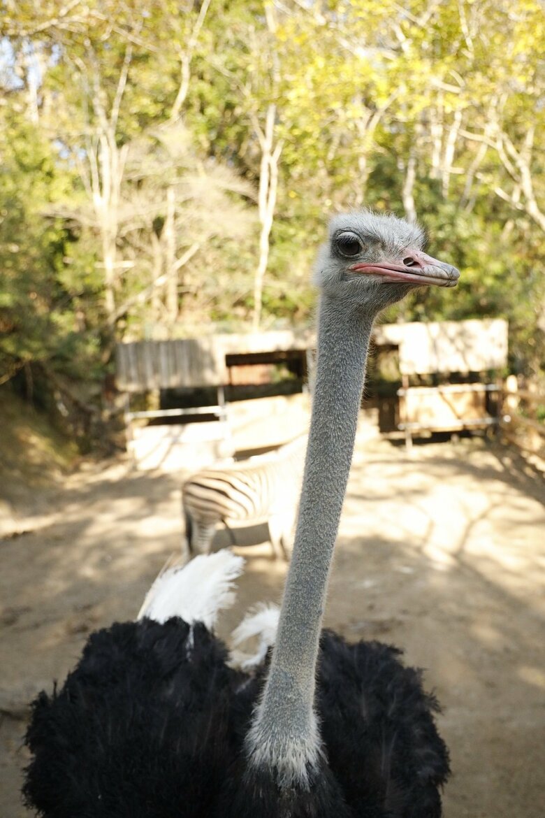 提供：長崎バイオパーク