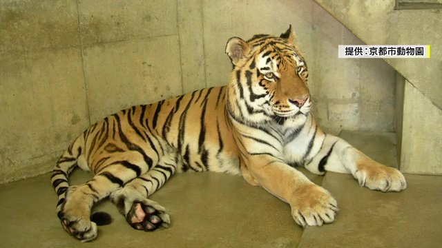 安全対策は地味で手間のかかること　それでも続けることが大事