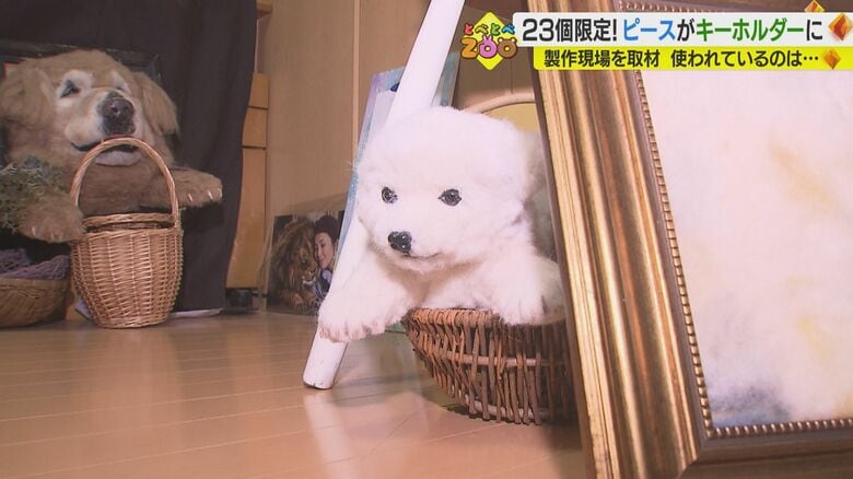 赤ちゃんのころの「ピース」