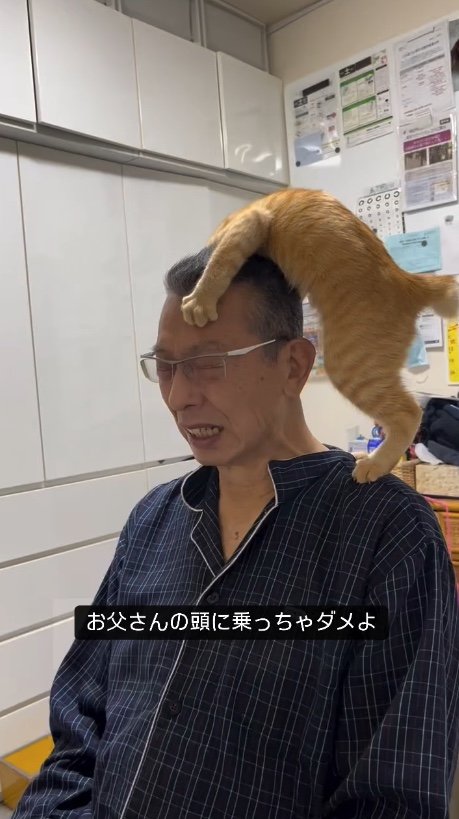 提供：cohakuさん