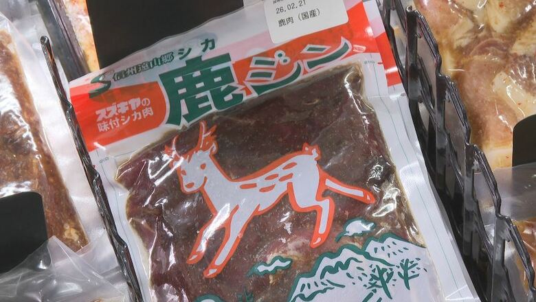 シカ肉