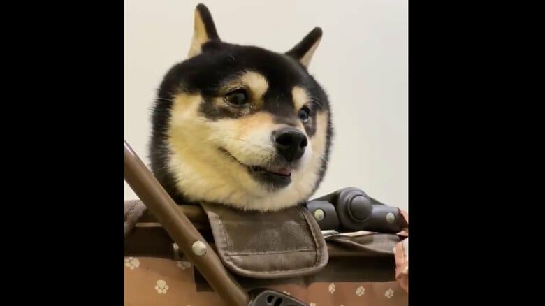 行き先が病院だと気づいたと思われるとき