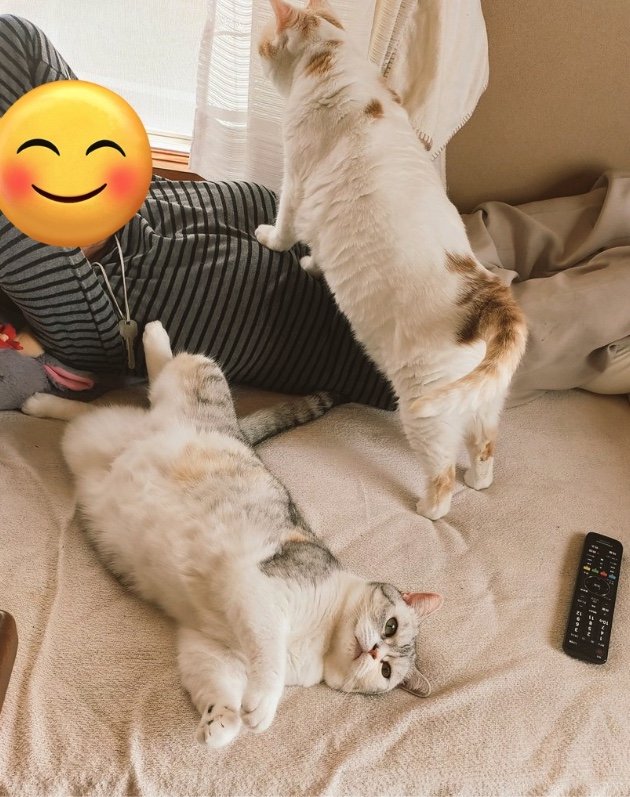 提供：まさまささん