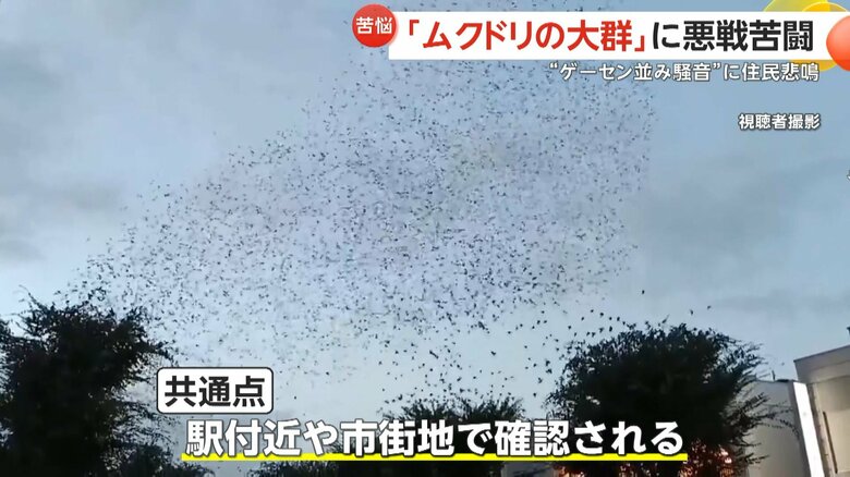 ムクドリが確認されるのは駅付近や市街地というのが共通点