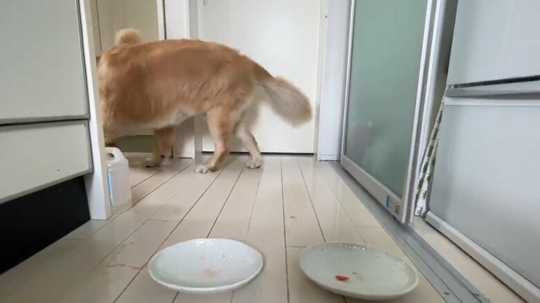 そのままどこかに行ってしまった