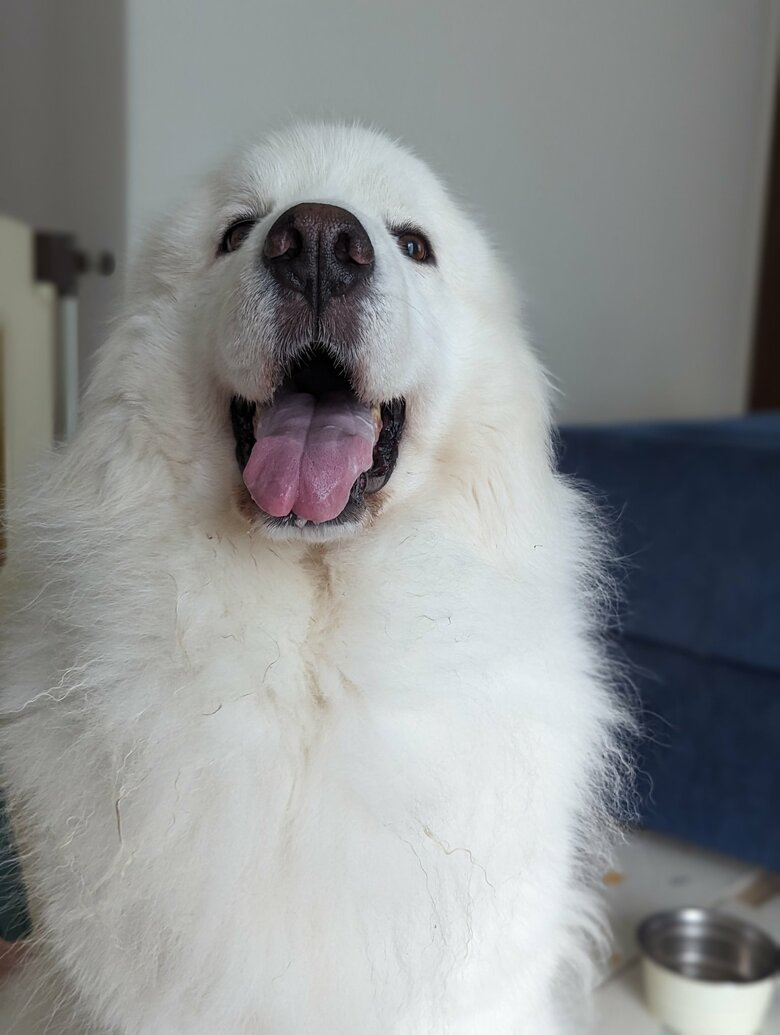 カメラ目線の陸ちゃん