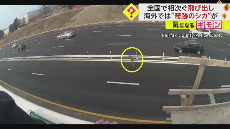車が多く走る方に侵入しようとしている！