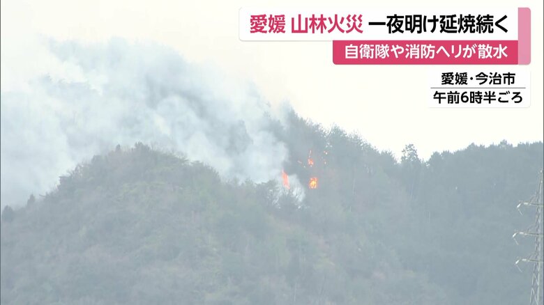 愛媛・今治市の山林火災の様子（24日午前6時半ごろ）