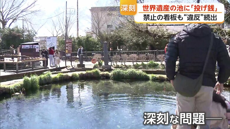 観光名所「忍野八海」の「涌池」