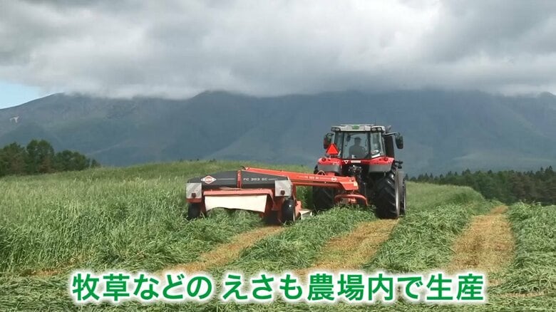 牛を育てるための餌も生産