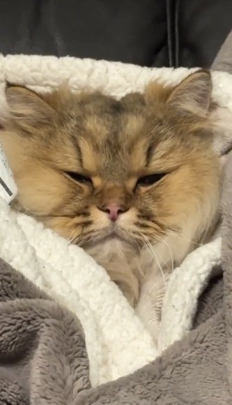 提供：ひなたさん