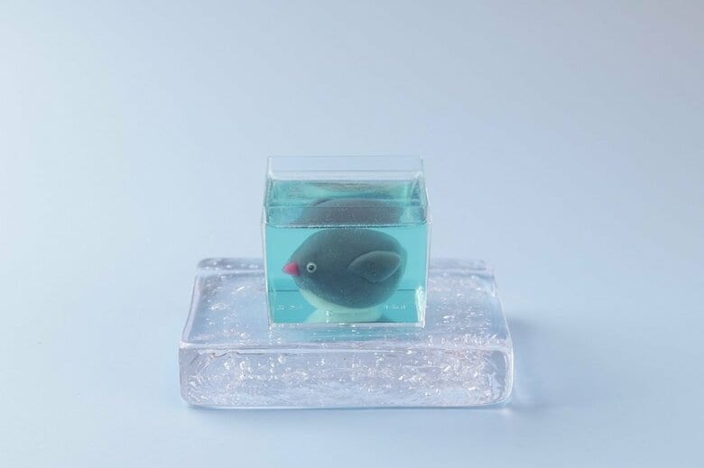 「ふ和ふ和浮遊水中園」のアデリーペンギン