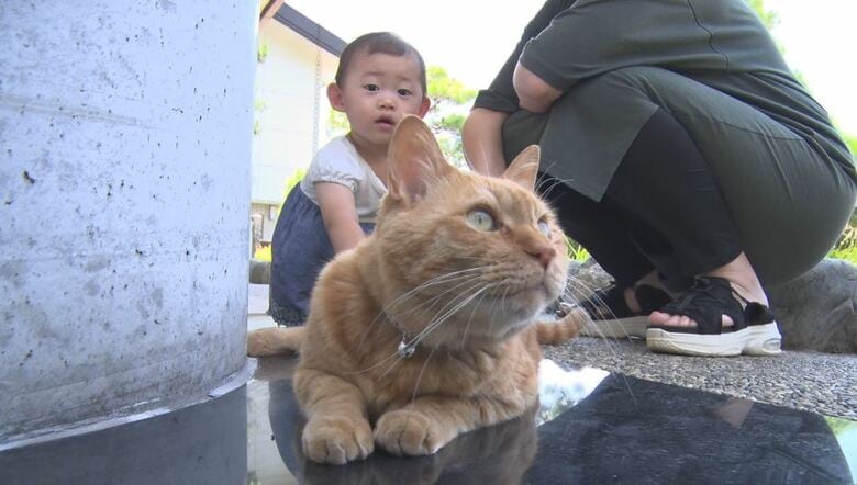 かわいがられることも仕事