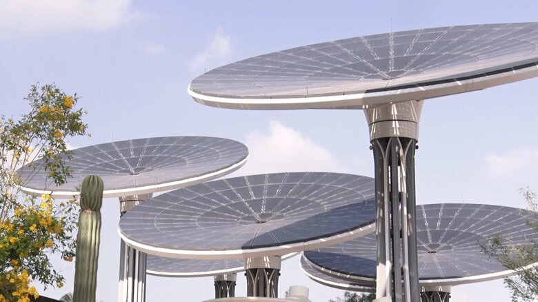 会場には多数の太陽光パネル