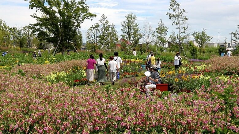 「第39回全国都市緑化北海道フェア」メイン会場　花の拠点「はなふる」（提供：北海道フェア実行委員会事務局）